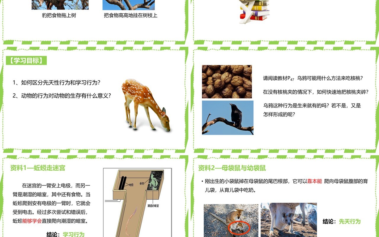 部编版八年级生物上册先天性行为和学习行为PPT模板