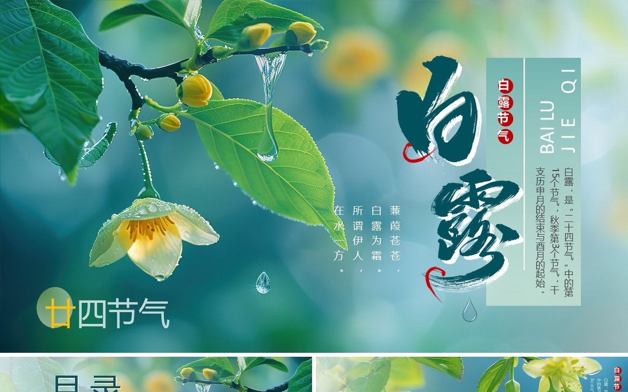 绿色插画清新风二十四节气之白露PPT模板