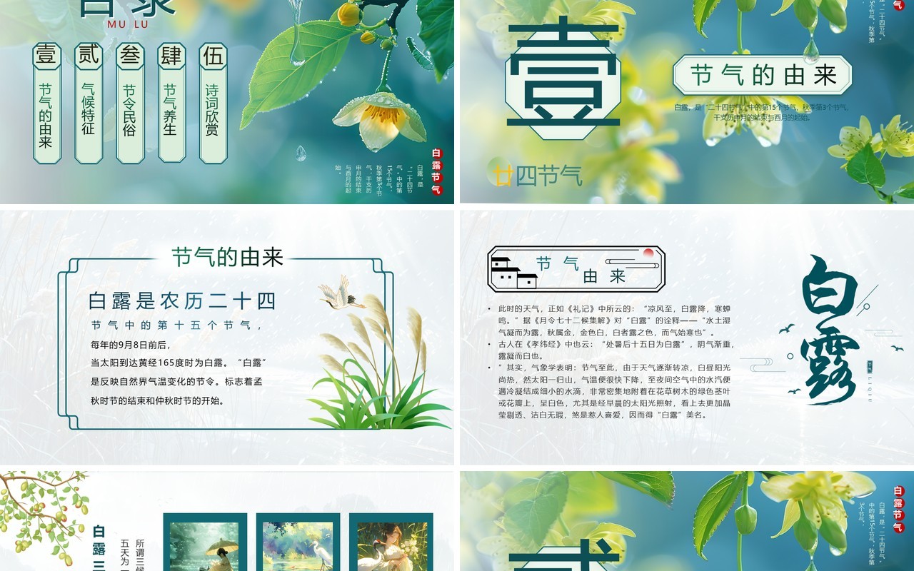 绿色插画清新风二十四节气之白露PPT模板