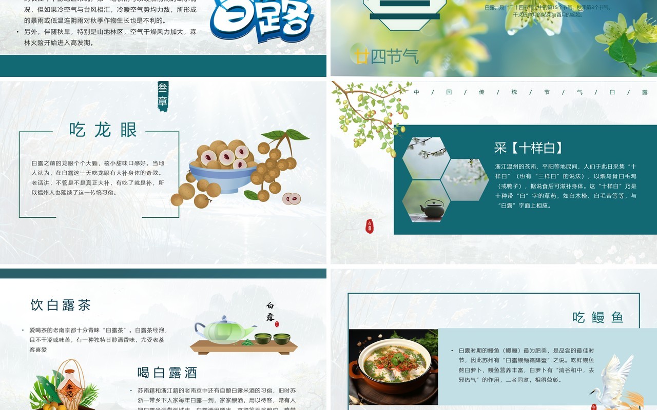 绿色插画清新风二十四节气之白露PPT模板