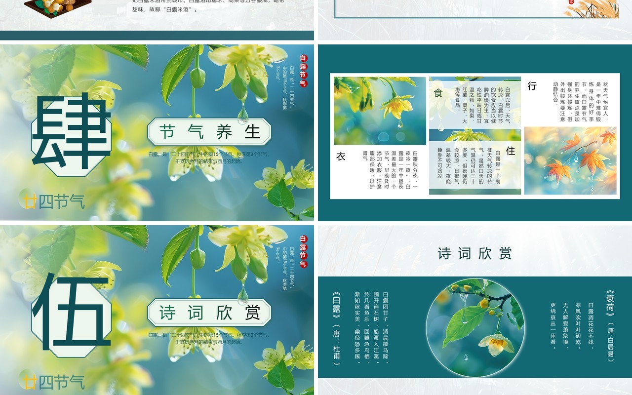 绿色插画清新风二十四节气之白露PPT模板