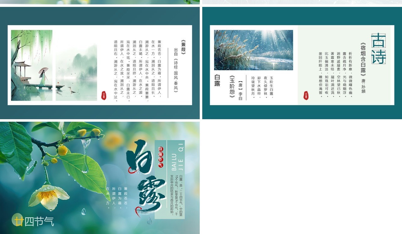 绿色插画清新风二十四节气之白露PPT模板