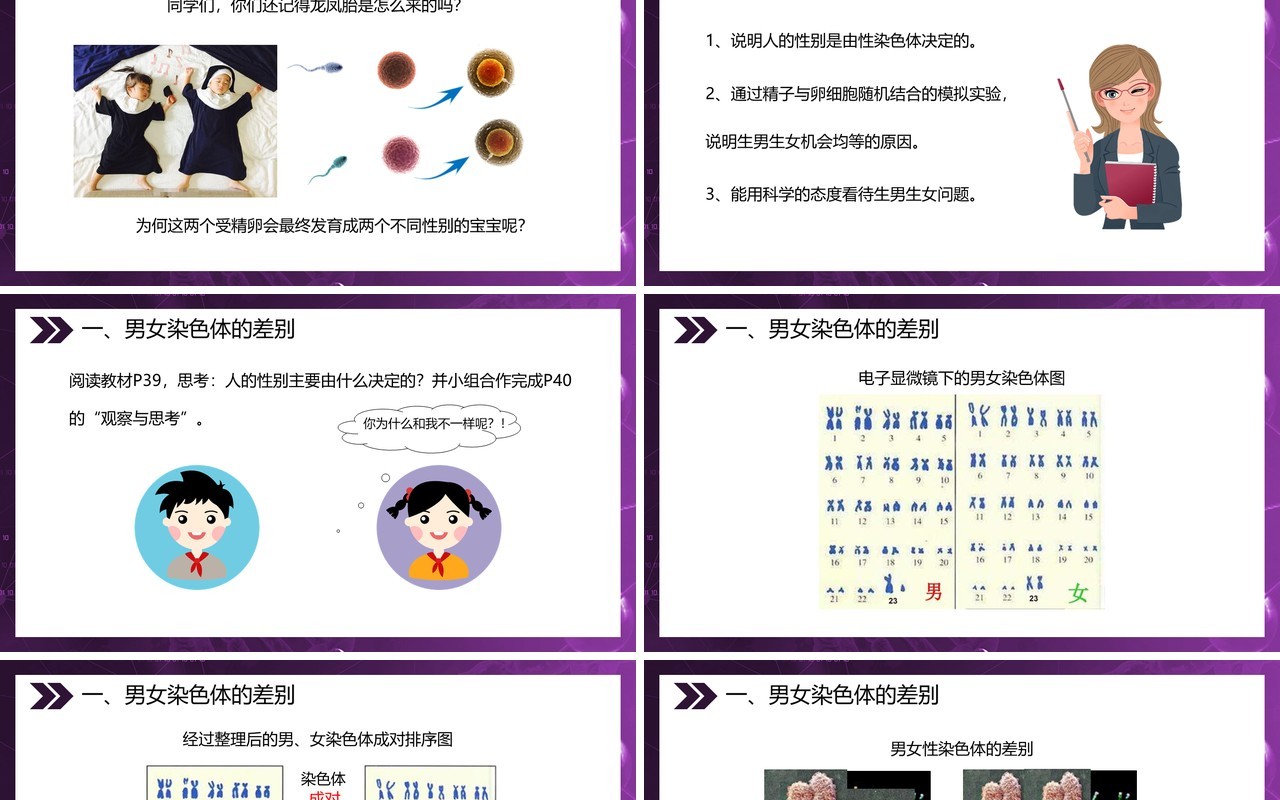 部编版八年级生物下册人的性别遗传课件PPT模板
