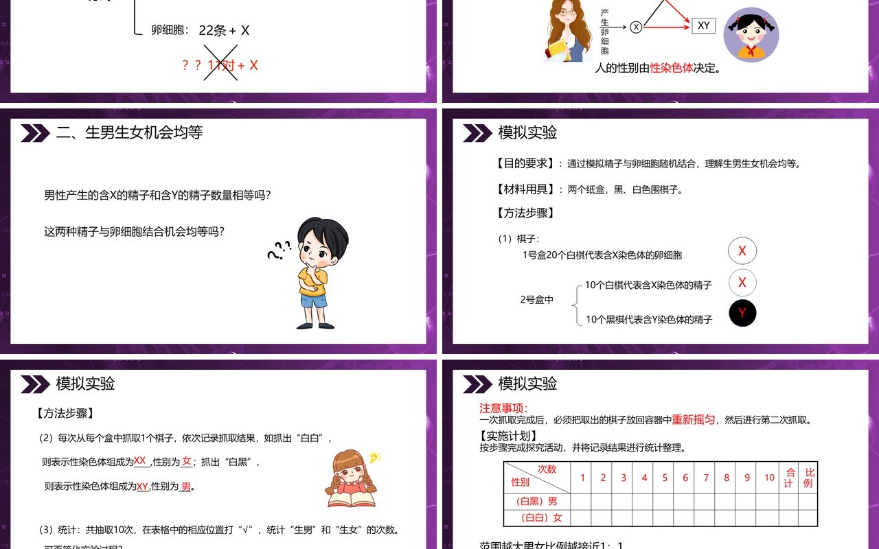 部编版八年级生物下册人的性别遗传课件PPT模板