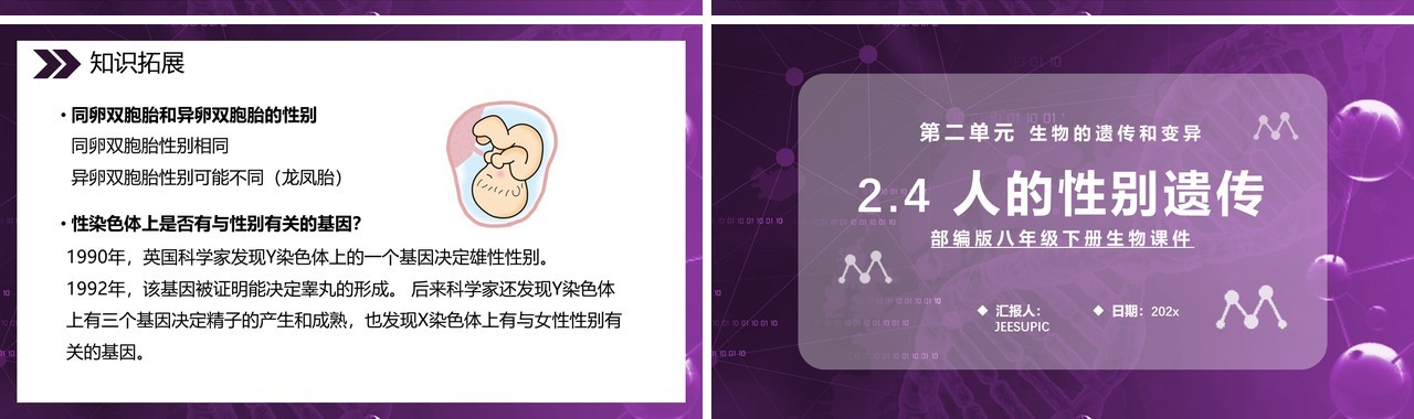 部编版八年级生物下册人的性别遗传课件PPT模板