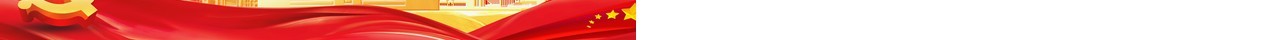 学习党的百年奋斗重大成就和历史经验PPT模板