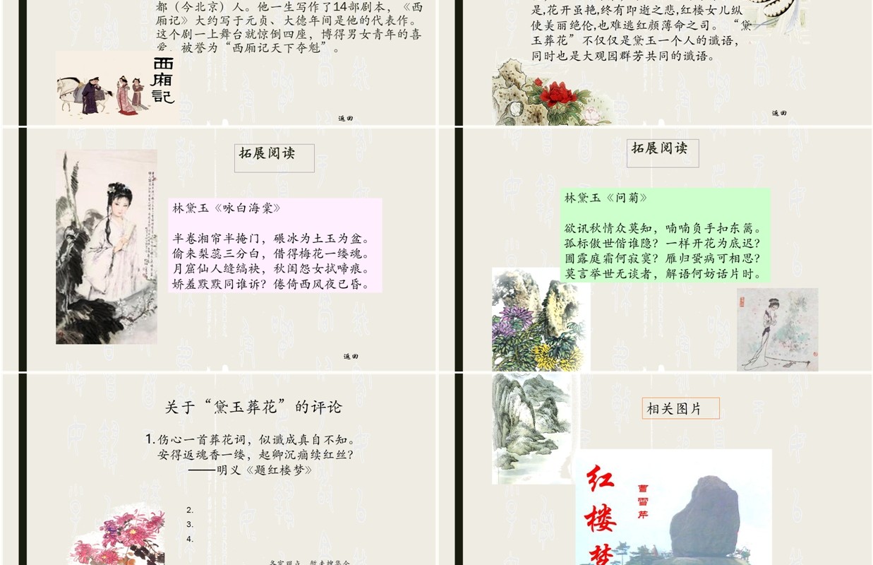 简洁初中语文黛玉葬花课件PPT模板