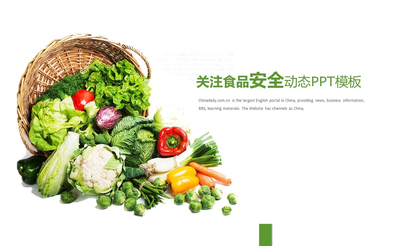 简约简洁食品安全动态PPT模板