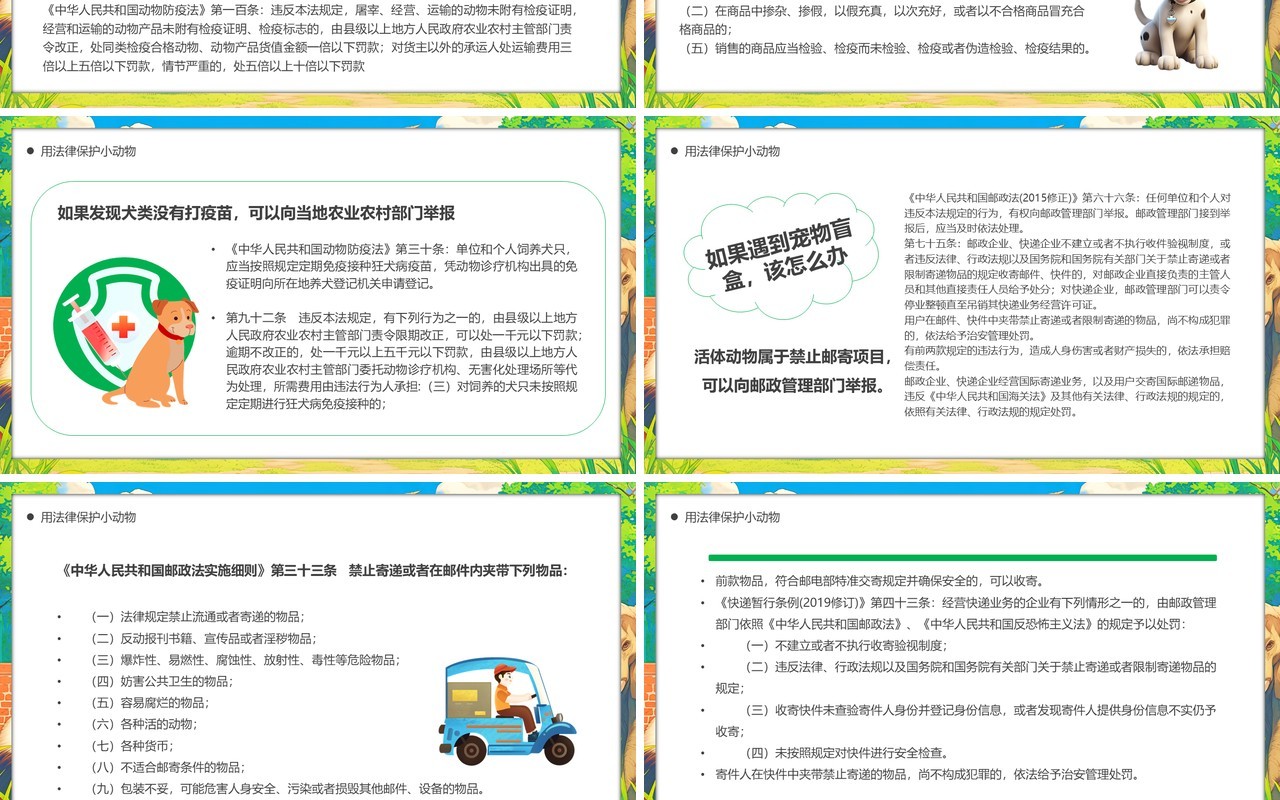 绿色插画风世界动物日保护动物PPT模板