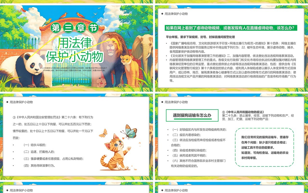 绿色插画风世界动物日保护动物PPT模板