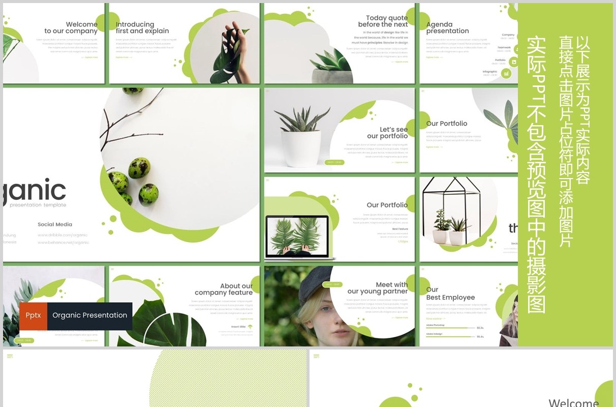 绿色商务通用PPT模板创意版式设计Organic Powerpoint Template