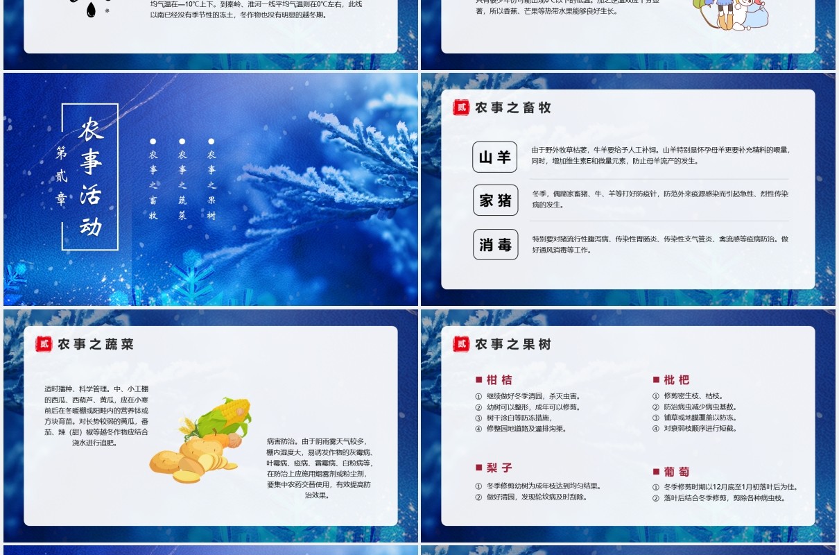 蓝色唯美二十四节气之小寒介绍动态PPT模板
