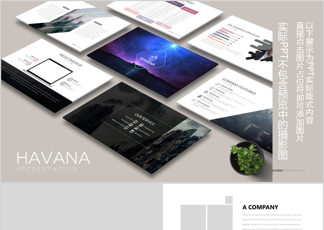 简洁个性公司简介产品介绍PPT模板可插图片信息图表HAVANA Powerpoint