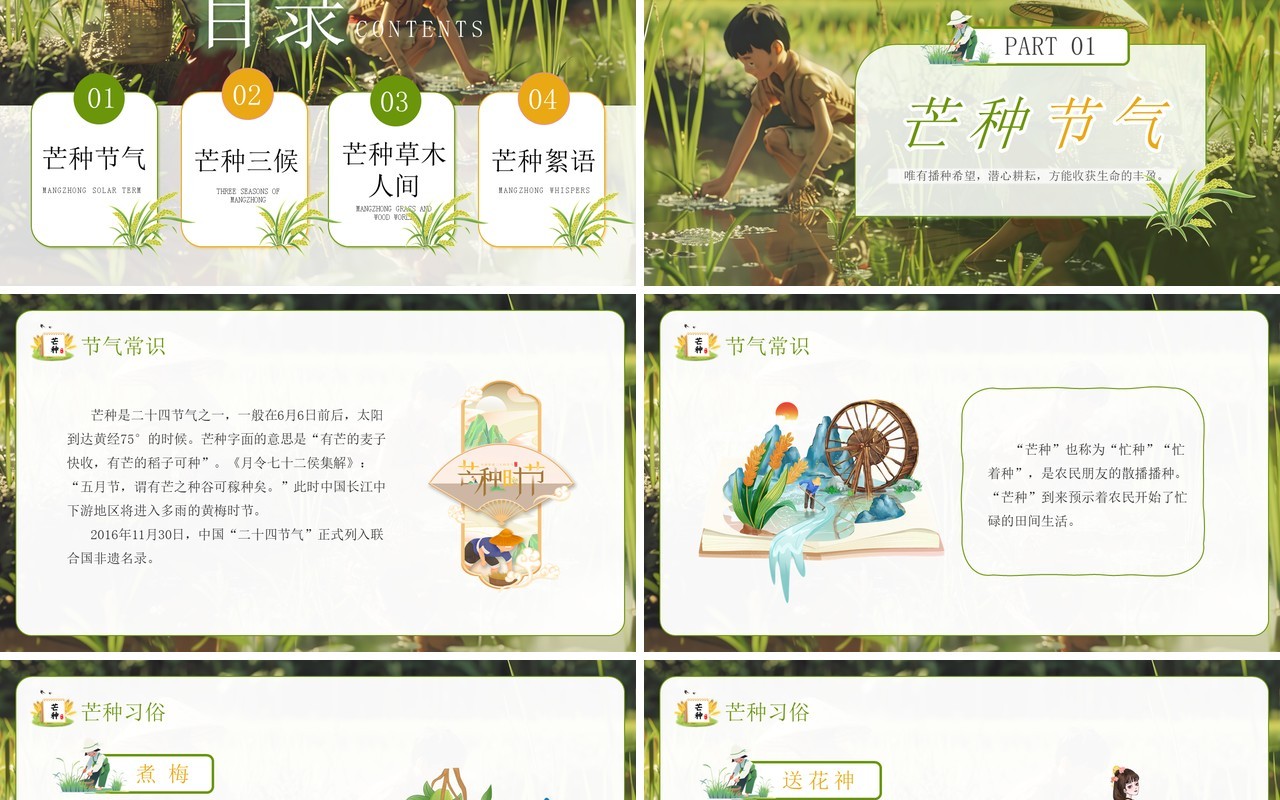 绿色插画风二十四节气之芒种介绍PPT模板