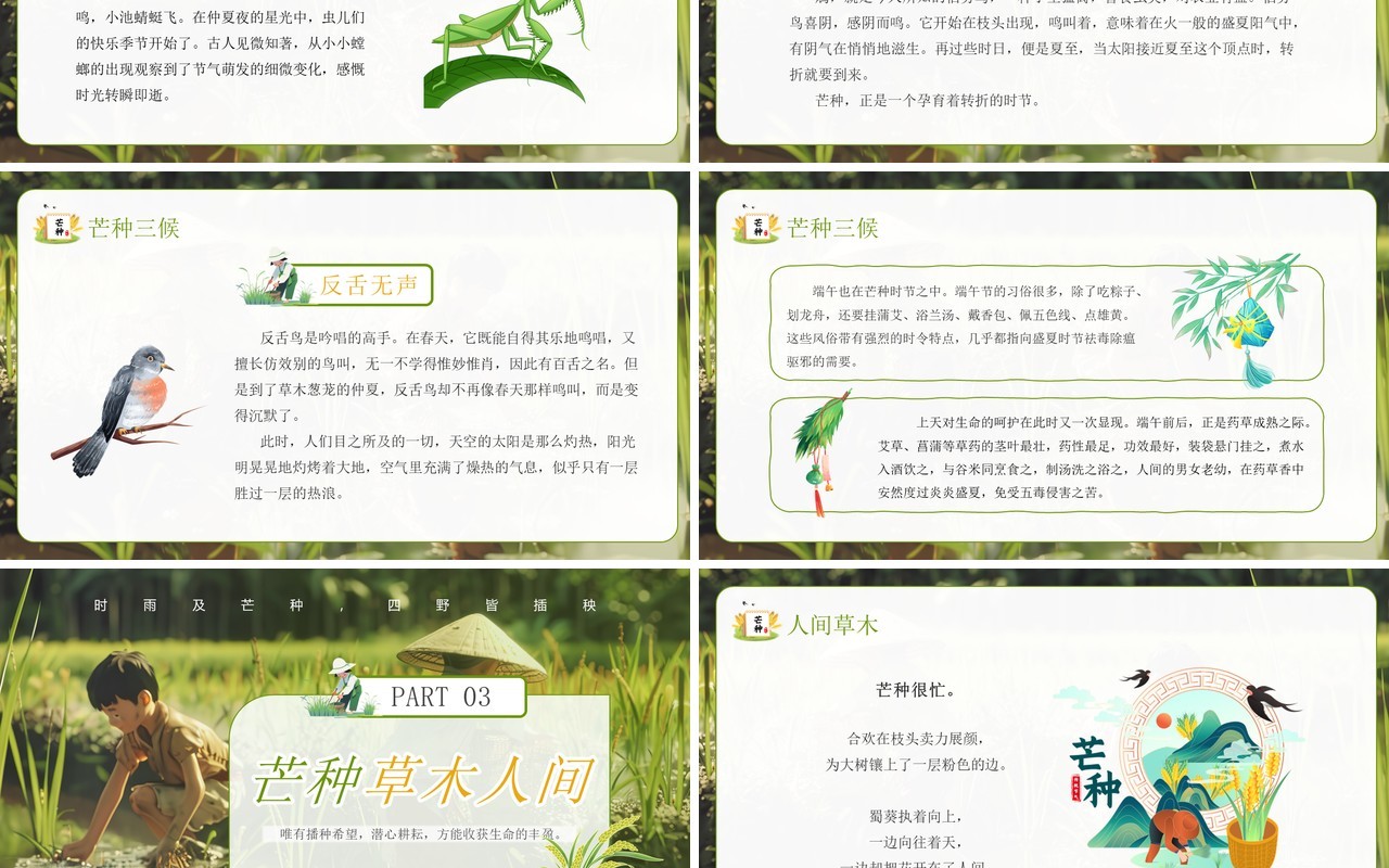 绿色插画风二十四节气之芒种介绍PPT模板
