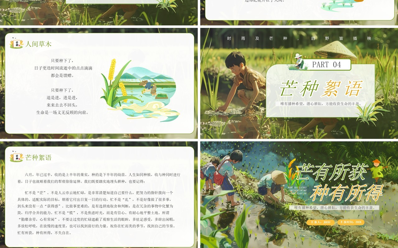 绿色插画风二十四节气之芒种介绍PPT模板