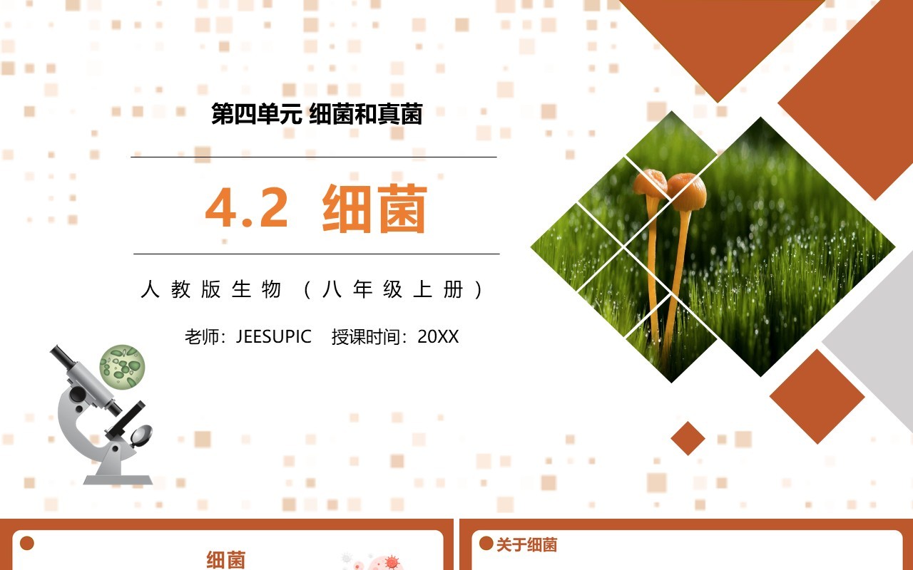 部编版八年级生物上册细菌PPT模板