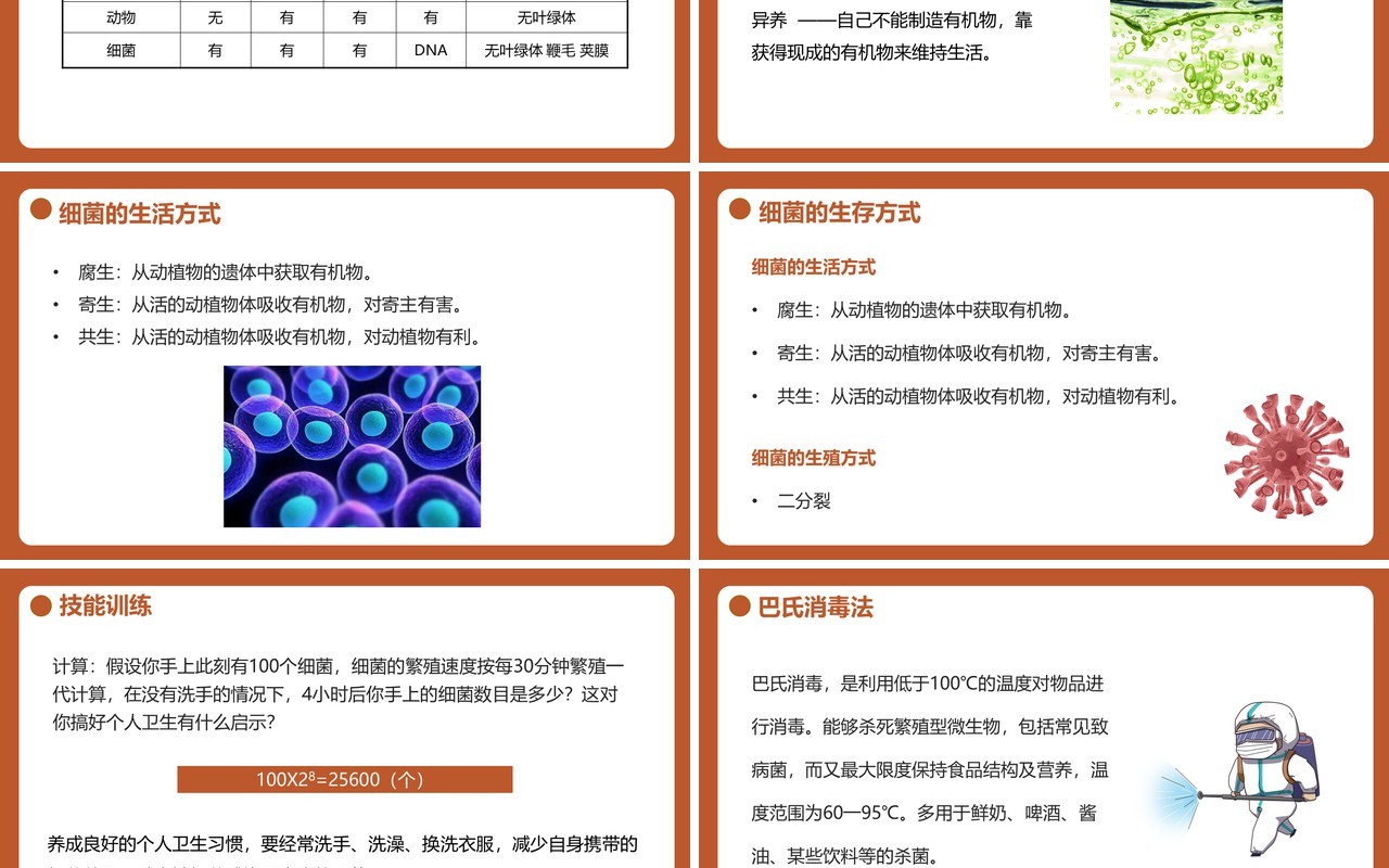 部编版八年级生物上册细菌PPT模板