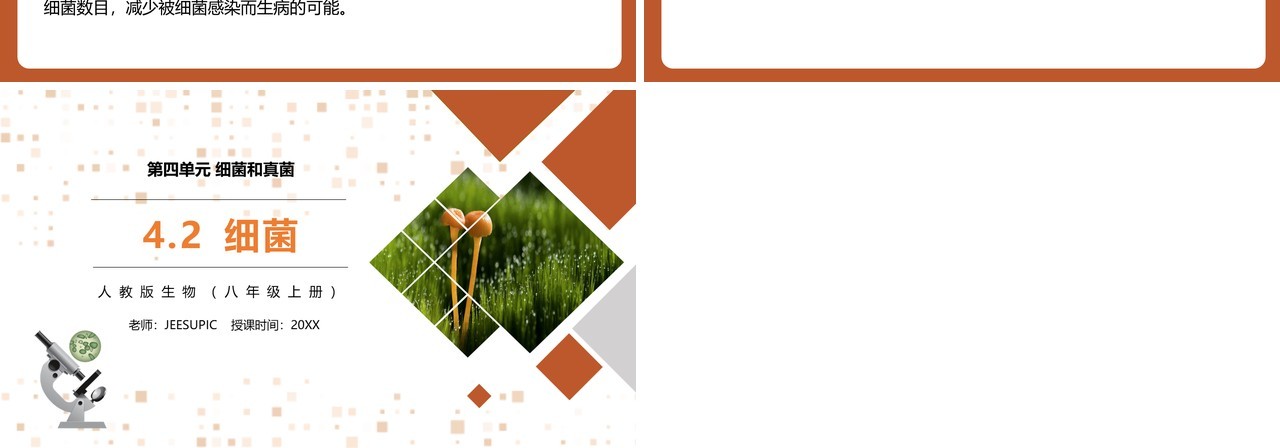 部编版八年级生物上册细菌PPT模板