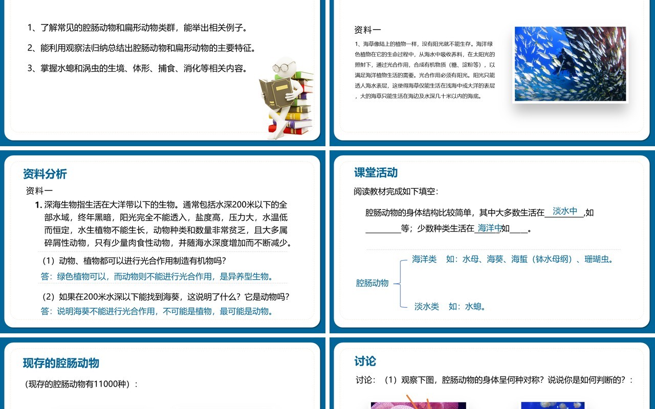 部编版八年级生物上册腔肠动物和扁形动物PPT模板