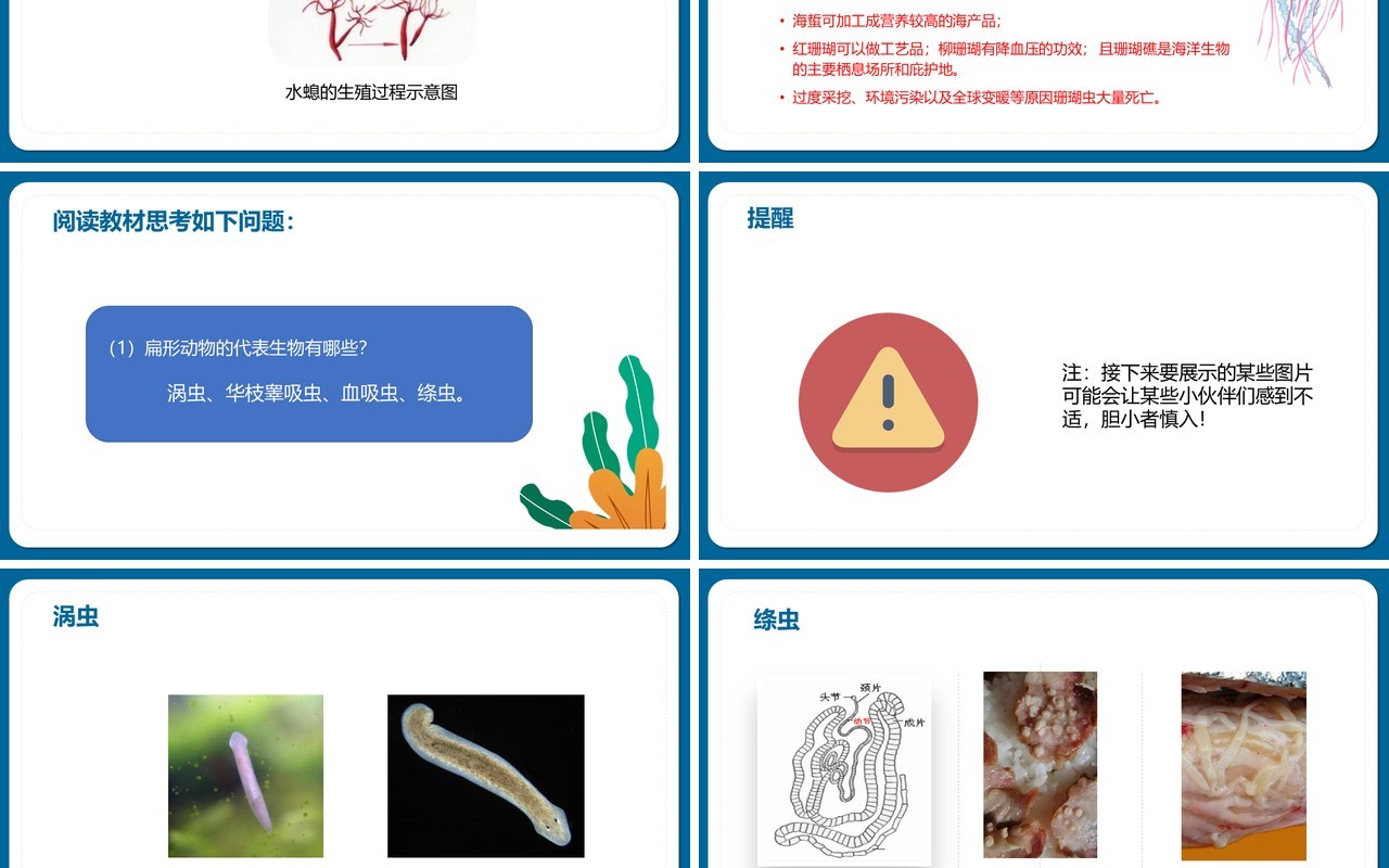 部编版八年级生物上册腔肠动物和扁形动物PPT模板