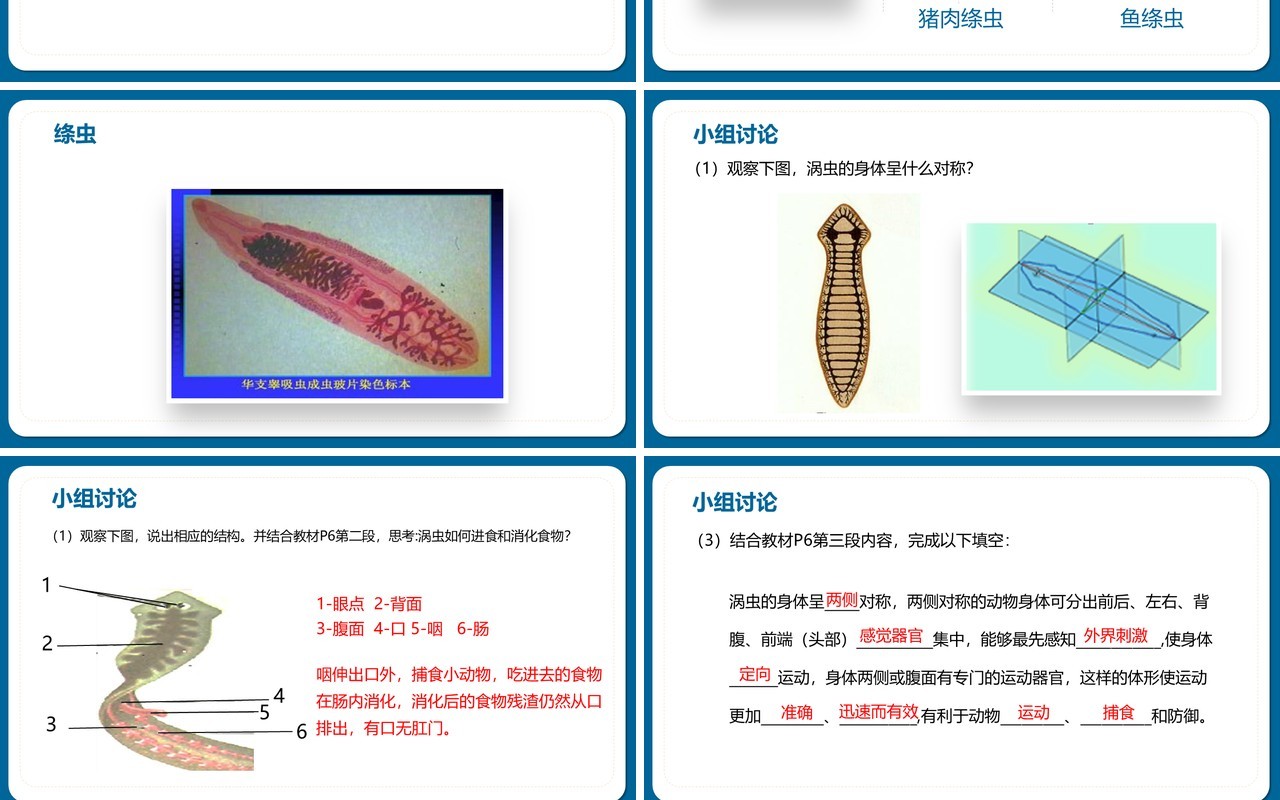 部编版八年级生物上册腔肠动物和扁形动物PPT模板