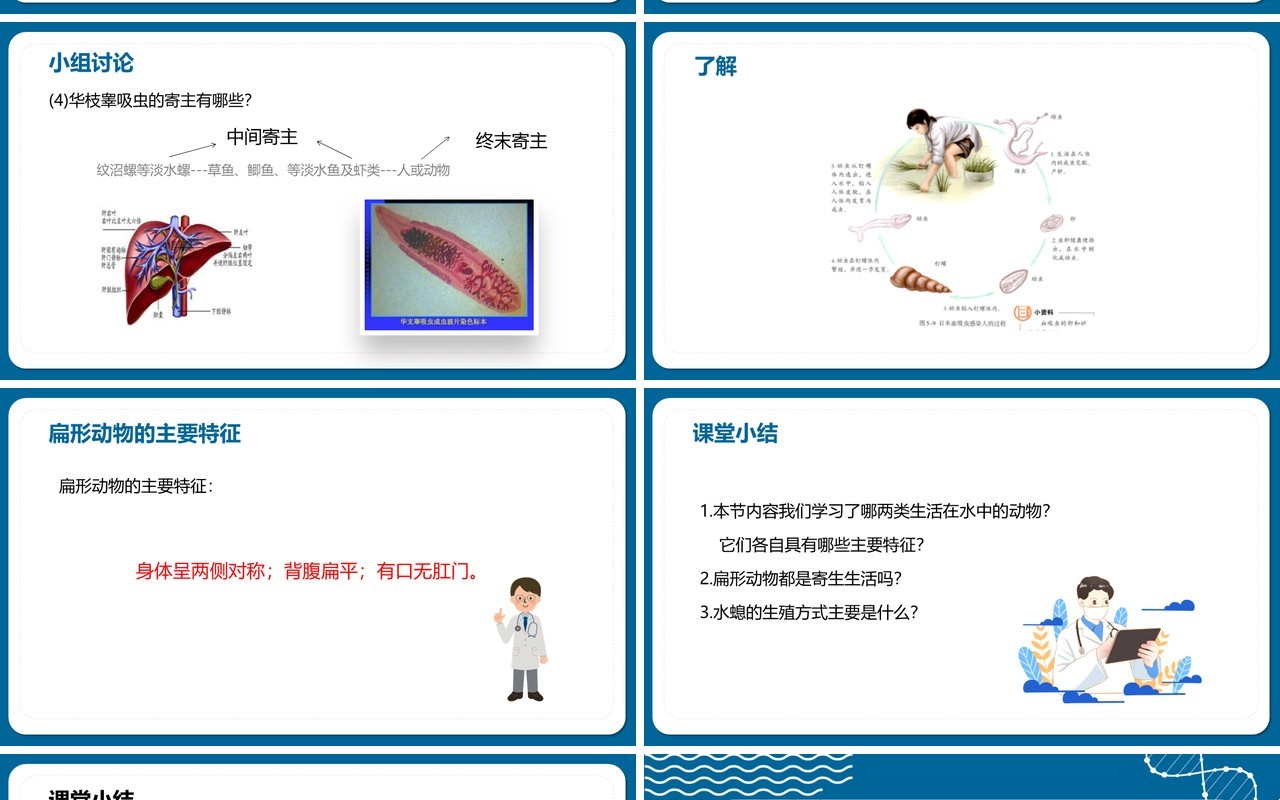 部编版八年级生物上册腔肠动物和扁形动物PPT模板