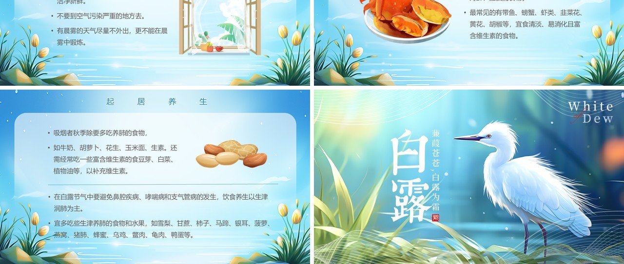 蓝色清新梦幻风传统节气白露PPT模板