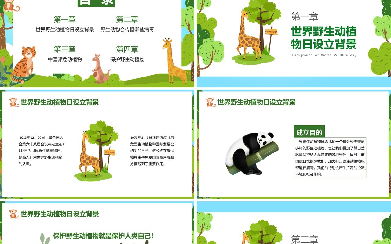 卡通风保护野生动植物日节日介绍PPT模板
