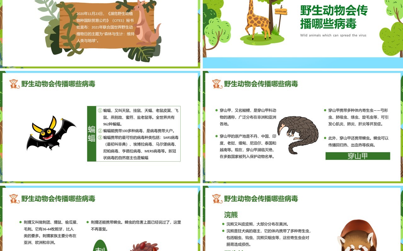 卡通风保护野生动植物日节日介绍PPT模板