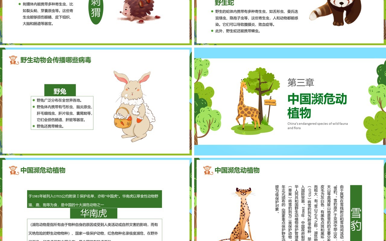 卡通风保护野生动植物日节日介绍PPT模板