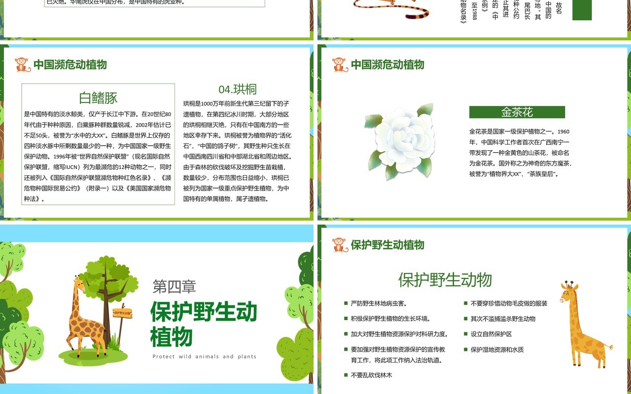 卡通风保护野生动植物日节日介绍PPT模板