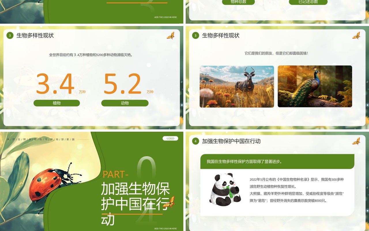 绿色插画风国际生物多样性日PPT模板