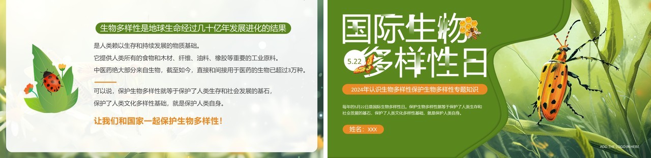 绿色插画风国际生物多样性日PPT模板