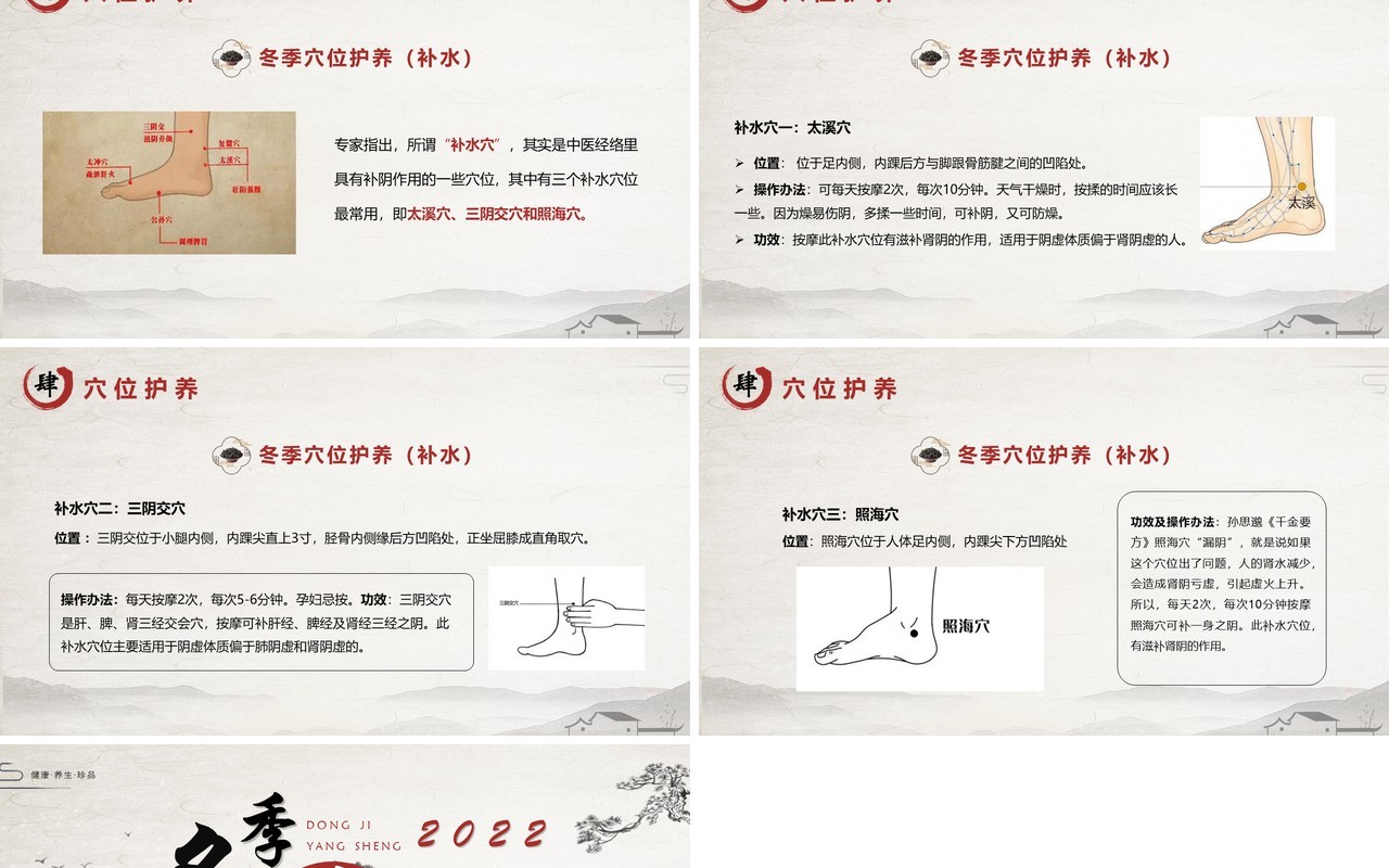 淡雅中国风冬季养生PPT模板