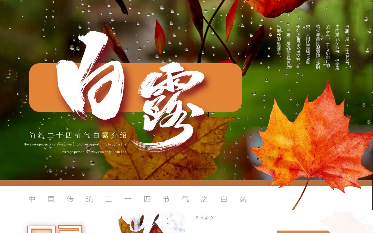 橙色简约风传统二十四节气之白露PPT模板