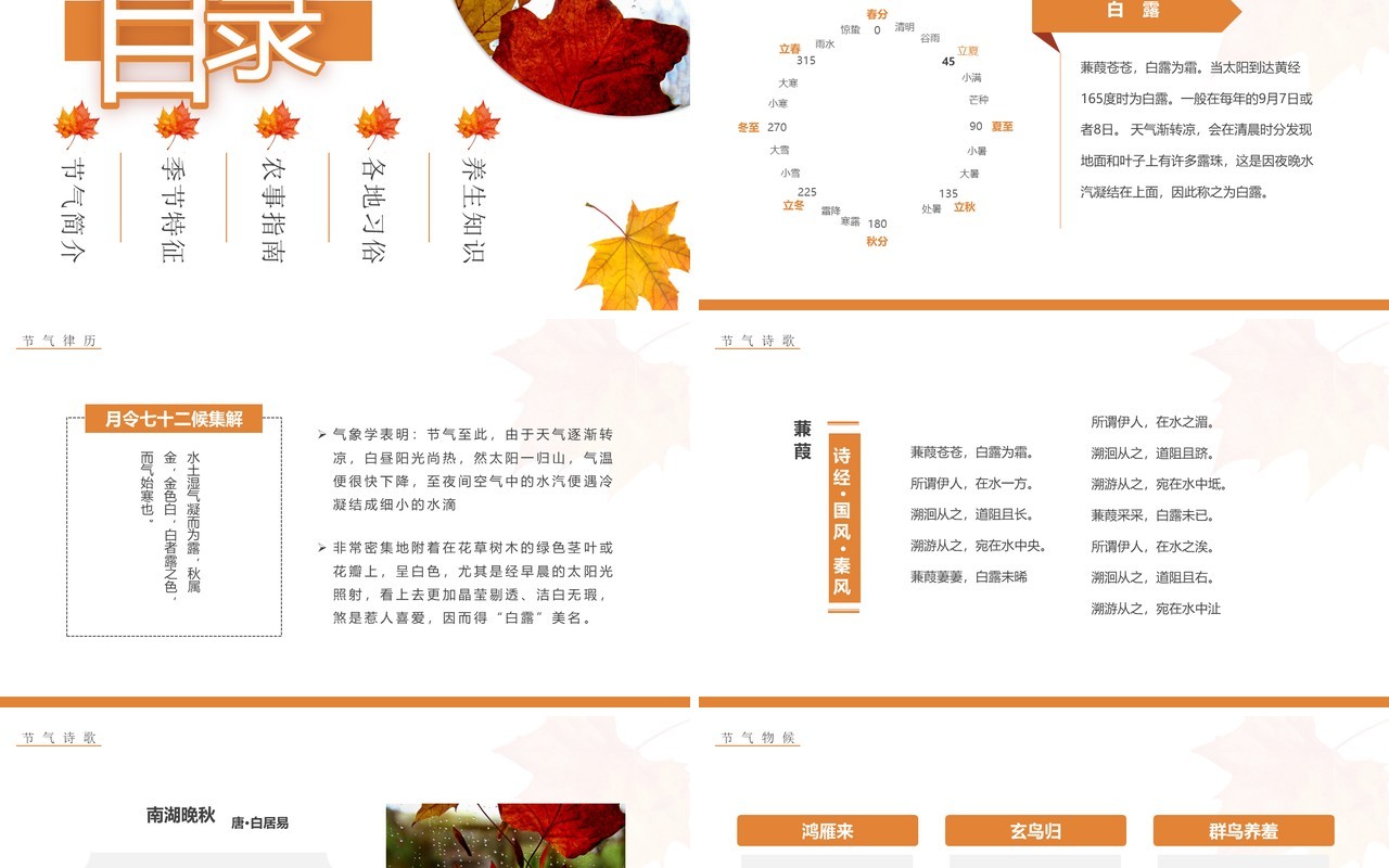 橙色简约风传统二十四节气之白露PPT模板