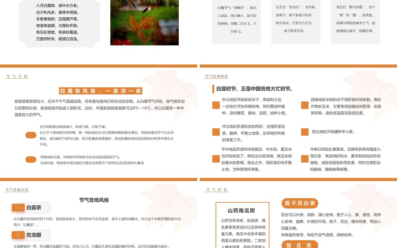 橙色简约风传统二十四节气之白露PPT模板