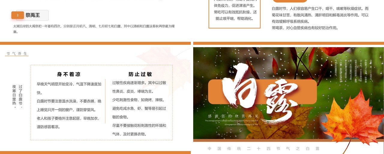 橙色简约风传统二十四节气之白露PPT模板