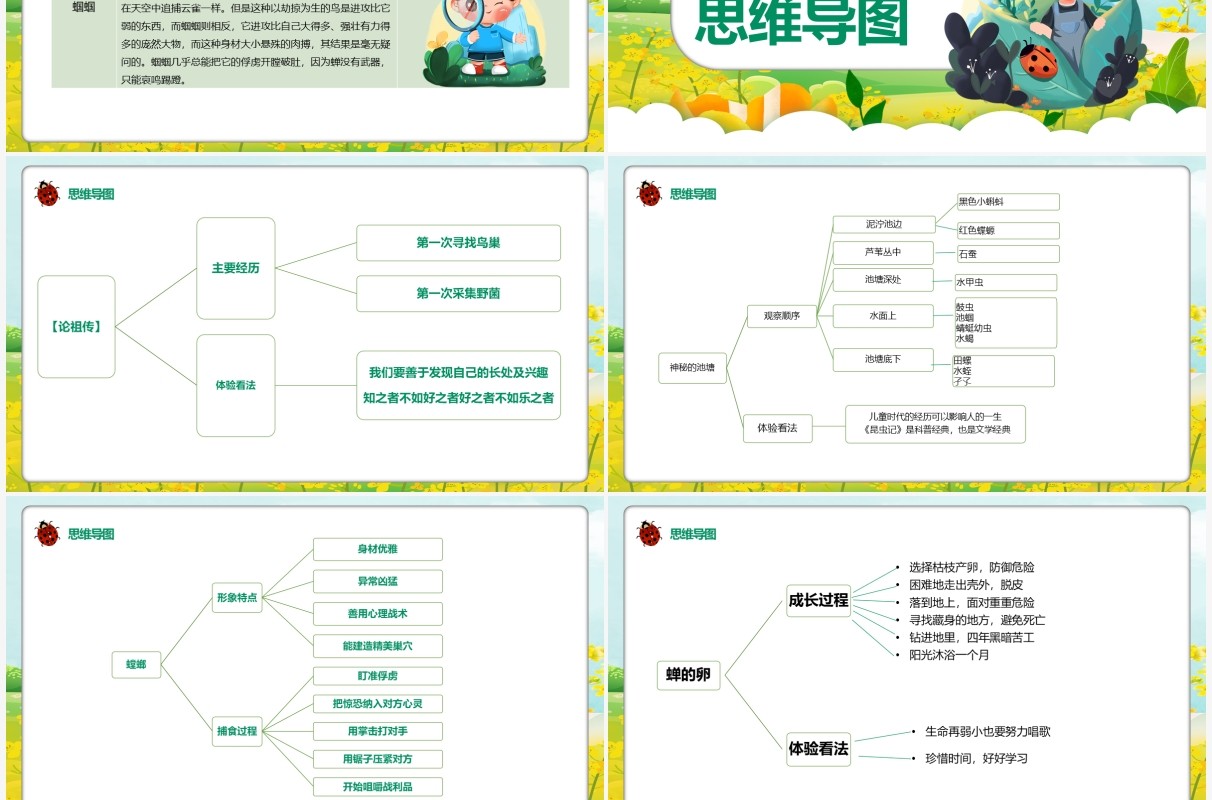 绿色卡通昆虫记文学作品介绍PPT模板
