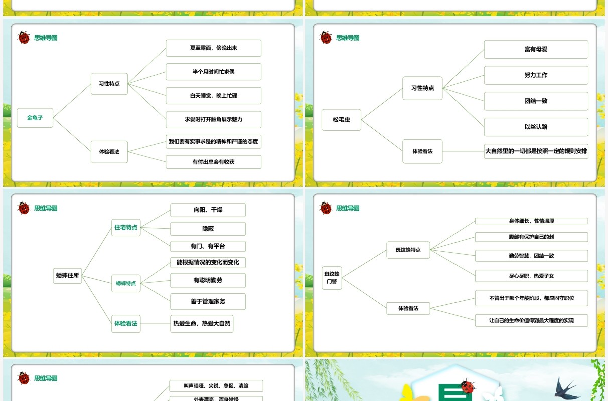 绿色卡通昆虫记文学作品介绍PPT模板