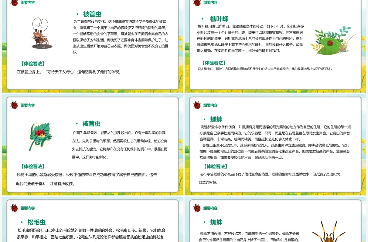 绿色卡通昆虫记文学作品介绍PPT模板
