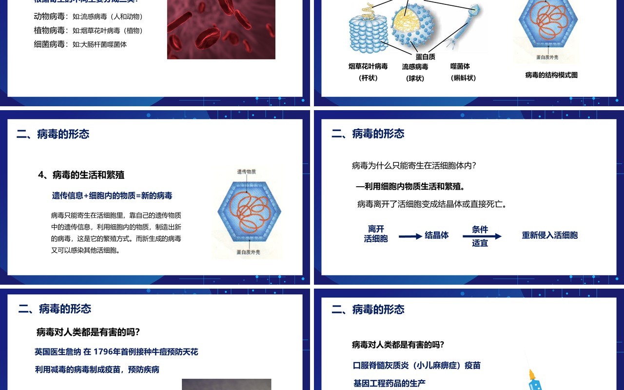 部编版八年级生物上册病毒PPT模板
