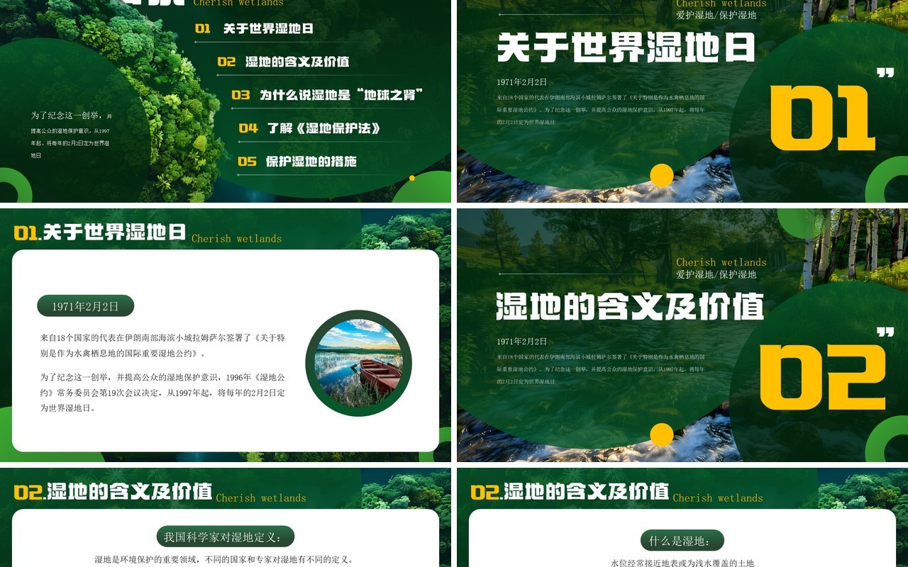 绿色简约风世界湿地日介绍PPT模板