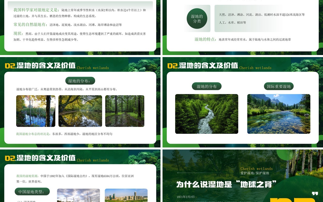 绿色简约风世界湿地日介绍PPT模板