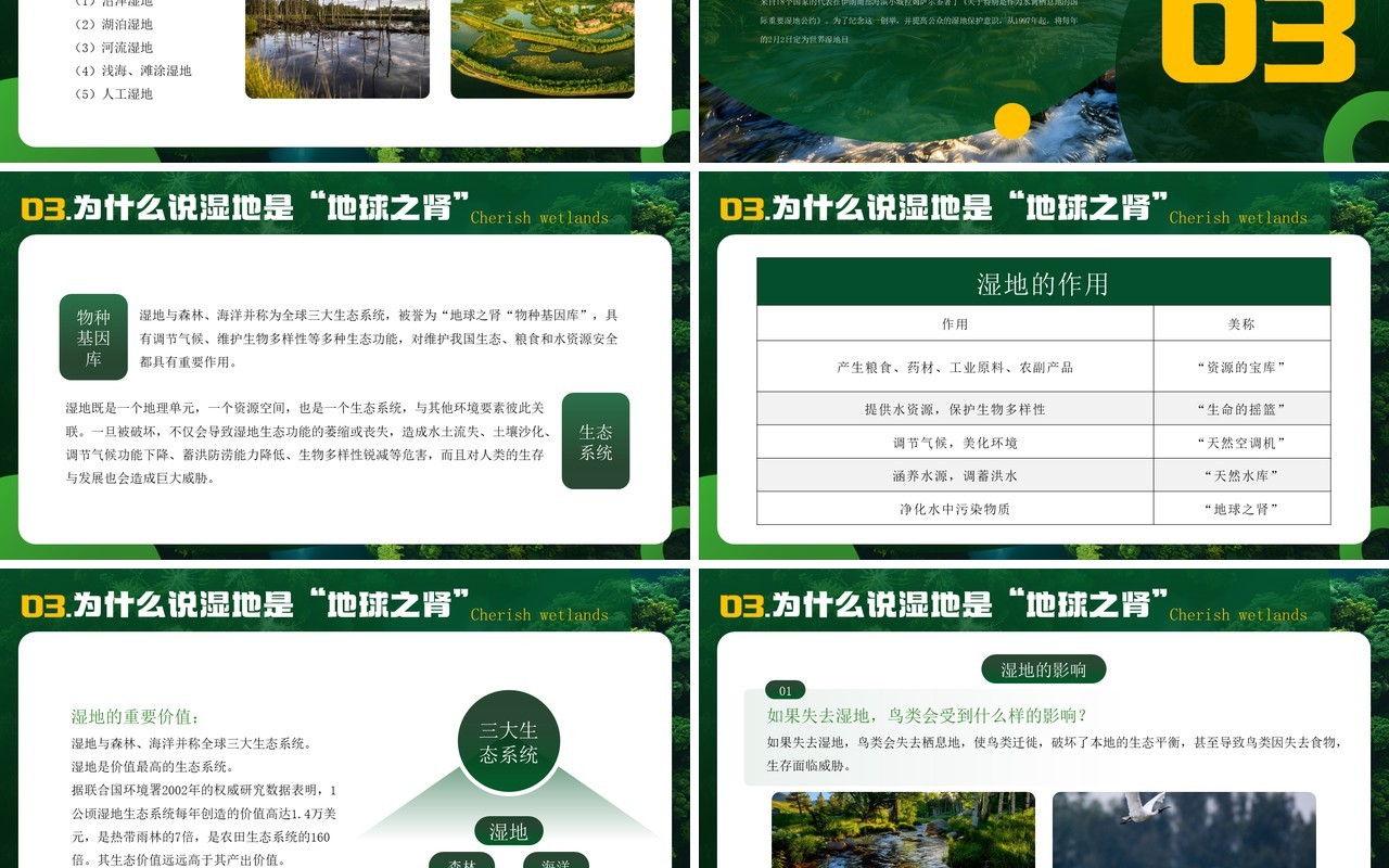 绿色简约风世界湿地日介绍PPT模板