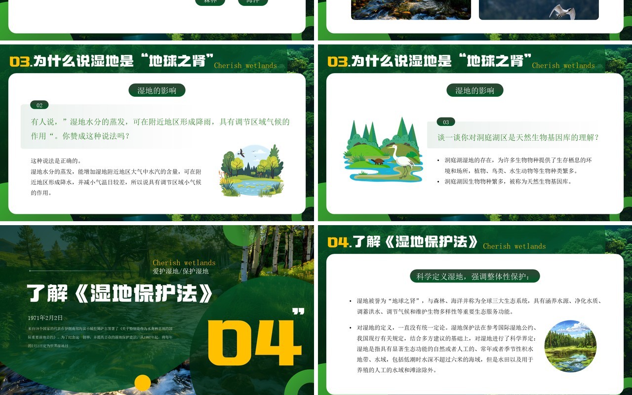 绿色简约风世界湿地日介绍PPT模板