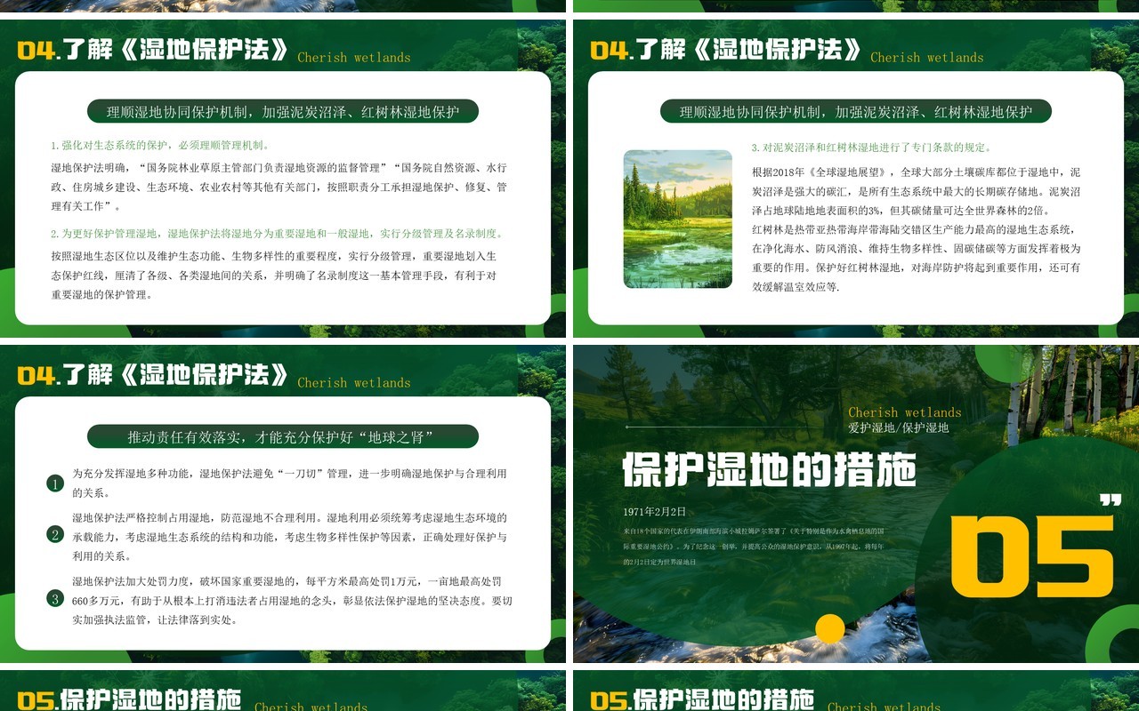 绿色简约风世界湿地日介绍PPT模板