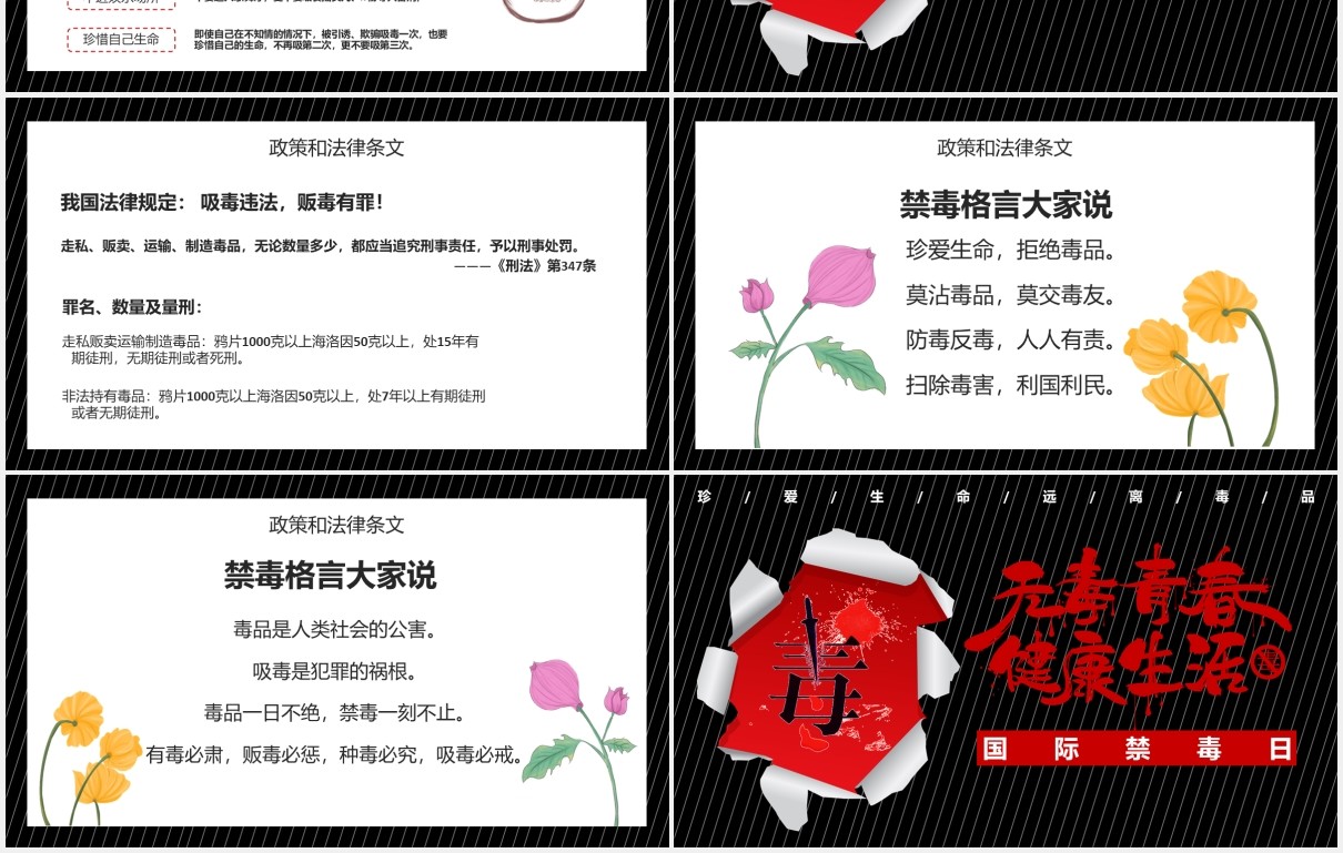 国际禁毒日宣传PPT模板