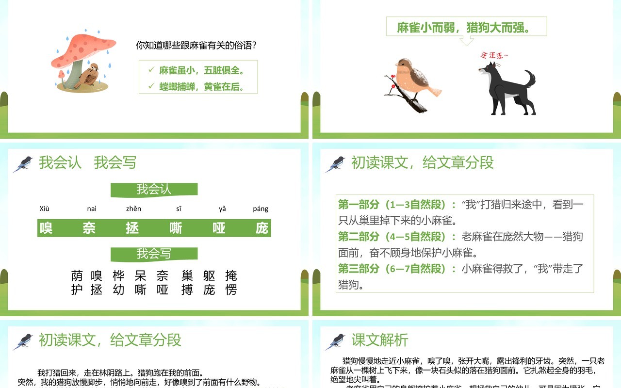 部编版四年级语文上册麻雀课件PPT模板